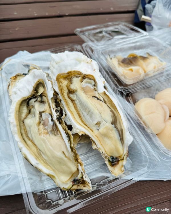 札幌二條市場：北海道海鮮天堂，必食海鮮丼巨大生蠔