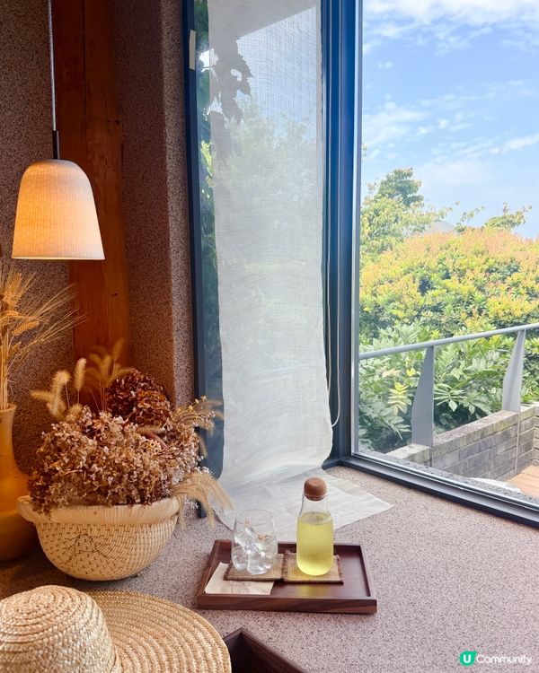 超美美的濟州繡球花和橘子🍊完美的一天!乘坐🛳️ 皇家加勒比海...