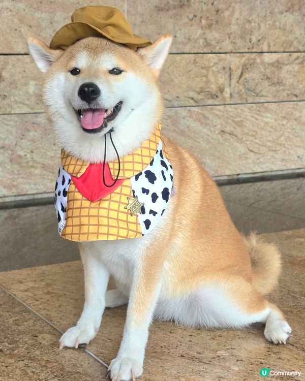 嘩！Tobey Coco 個造型好得喎! 咁cute、咁型、...