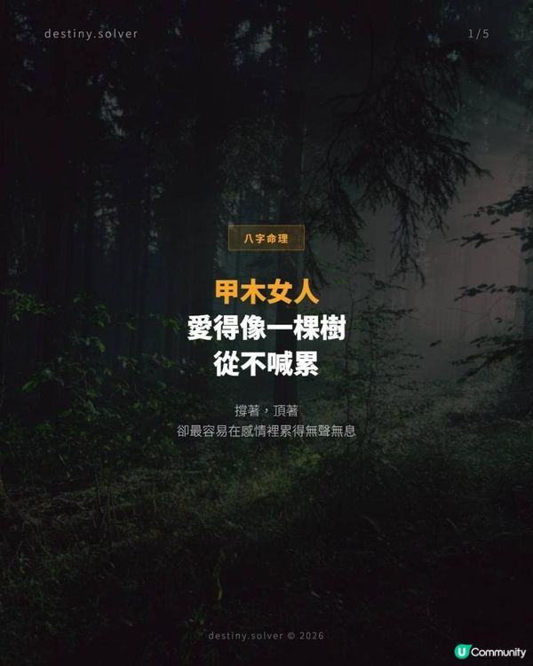 命裡是甲木的女人，愛起來頂天立地，卻最容易在感情裡累得無聲無息