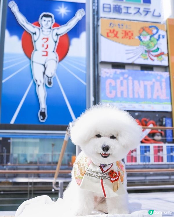 帶狗去旅行之心齋橋行街！🐾💖