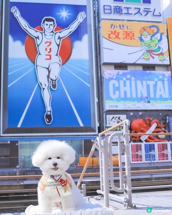 帶狗去旅行之心齋橋行街！🐾💖