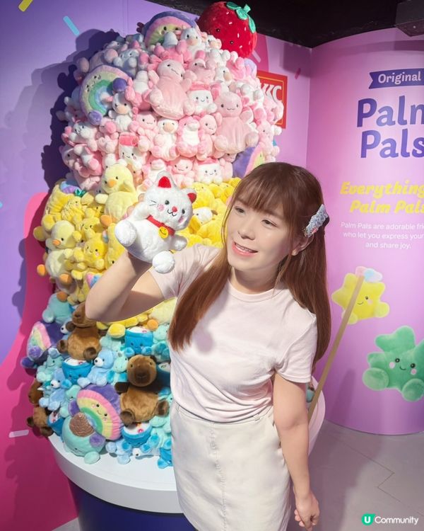 ✨韓國大熱 Plush Toys Palm Pals登陸香港