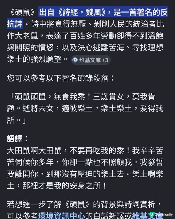 仔仔呀