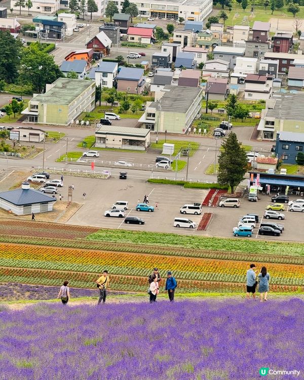 北海道富良野北星山薰衣草園＆單人纜車：空中紫色夢幻之旅！