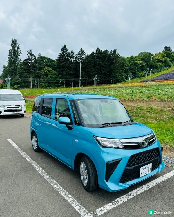 北海道富良野北星山薰衣草園＆單人纜車：空中紫色夢幻之旅！