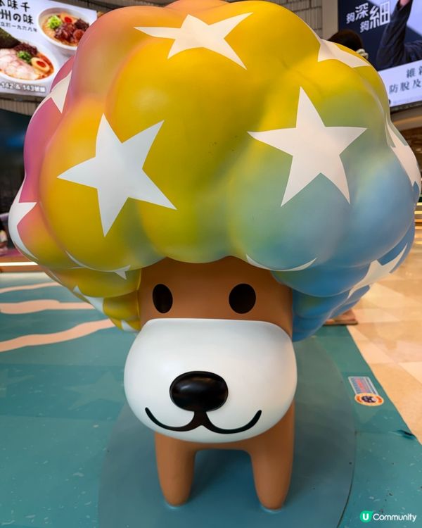 夏日爆炸狗主題⚽️擊掌！