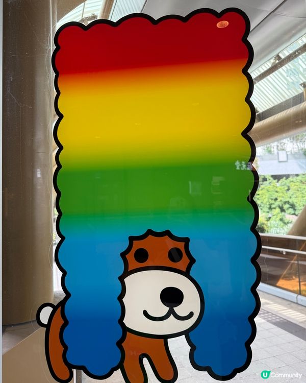 夏日爆炸狗主題⚽️擊掌！