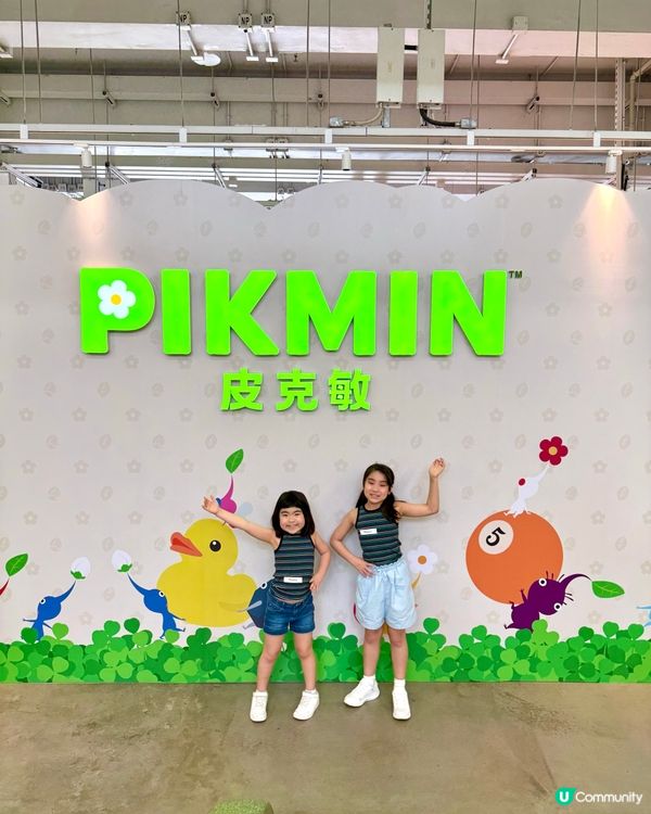 ✨ Pikmin｢皮克敏｣夏日冒險世界 🌿
