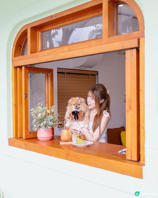 🌿 林村除咗許願樹 仲有綠色小木屋 📸