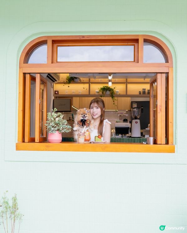 🌿 林村除咗許願樹 仲有綠色小木屋 📸