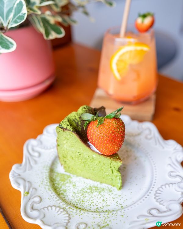 🌿 林村除咗許願樹 仲有綠色小木屋 📸