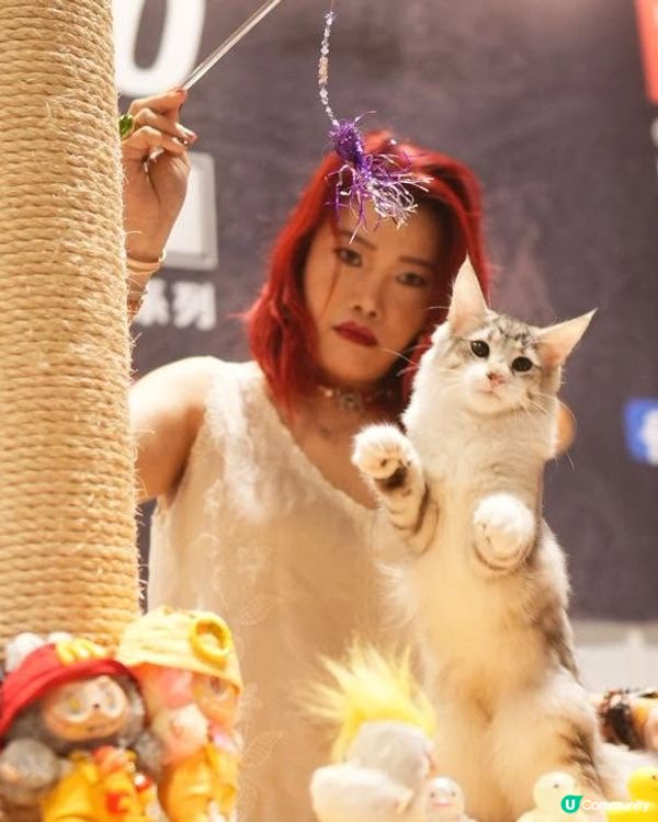 【香港貓迷博覽會2026🐈】U Community大派300張門票！✨