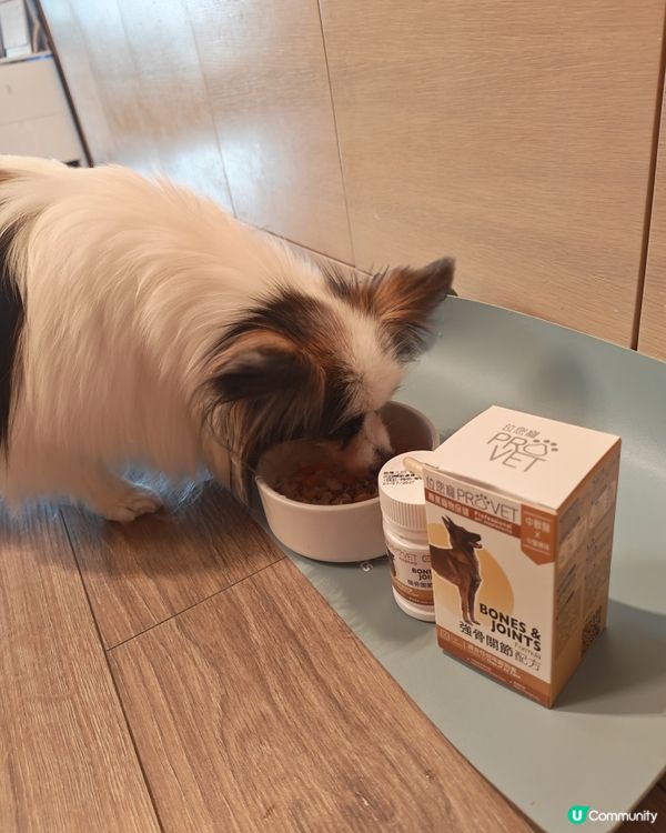 #Butter公主 好物推介👉位您寵強健關節配方🐕
