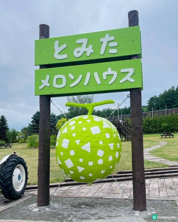 北海道富良野富田農場：彩虹夢幻花海，浪漫到心動！