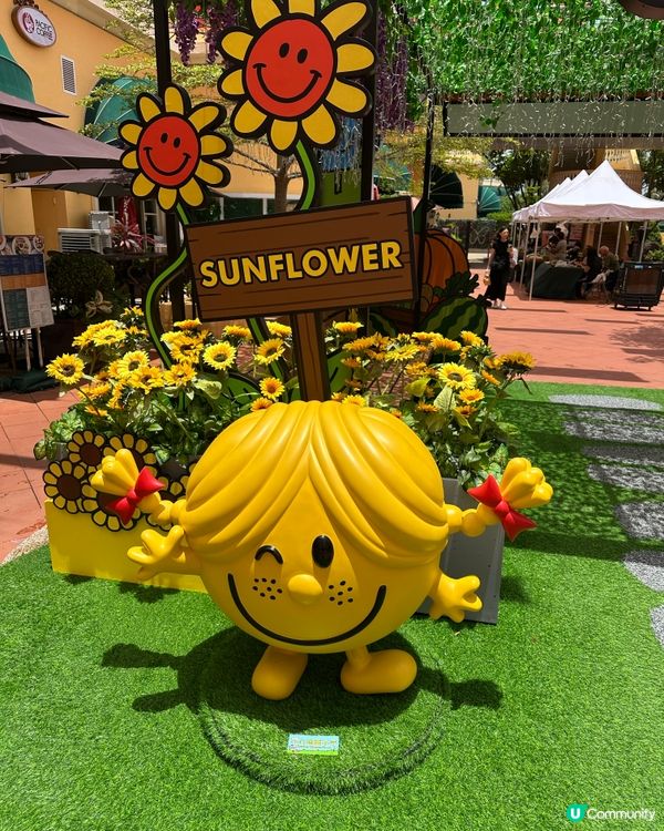 Mr. Men Little Miss 黎左黃金海岸商場🤗🤗
