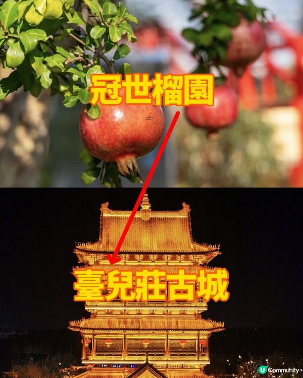 港澳人第一次來棗莊就要這麼玩！