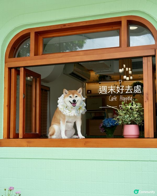 ☕️週末好去去處•靚靚打卡Cafe💚