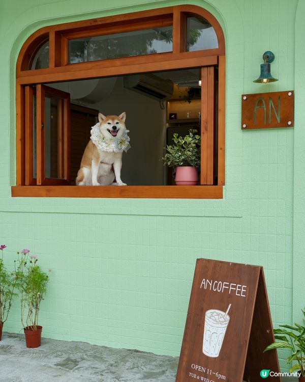 ☕️週末好去去處•靚靚打卡Cafe💚