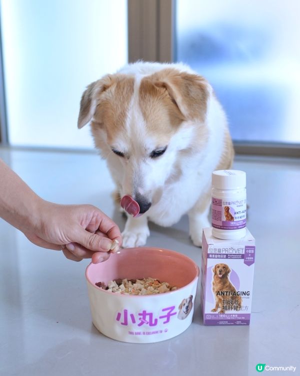 牛丸家優質寵物保健品推介💊💊💊