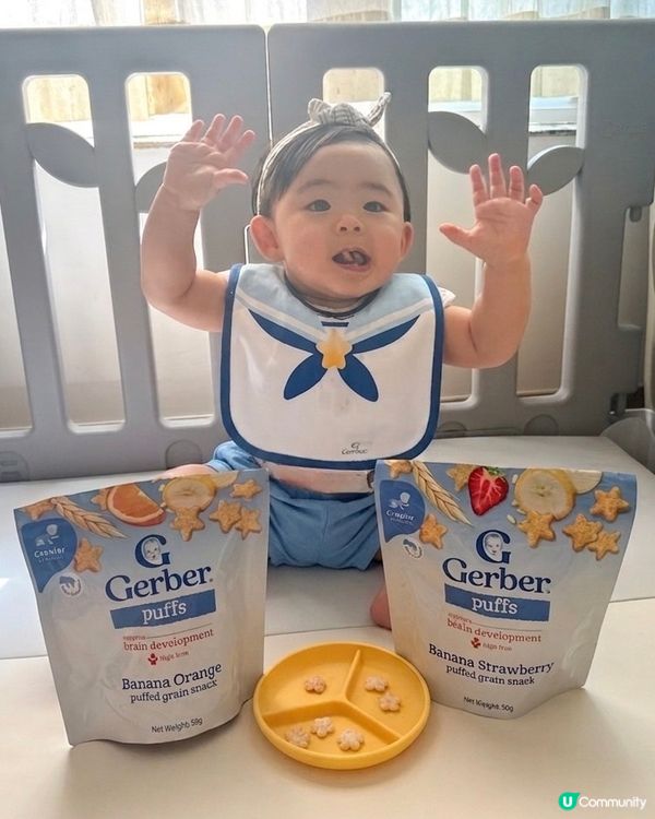 GERBER星星餅