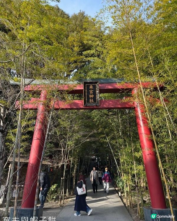 日本東京靜岡縣之旅 | 熱海 | 來宮神社 | 熱海櫻