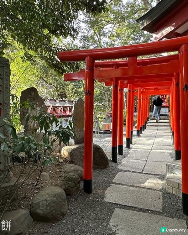 日本東京靜岡縣之旅 | 熱海 | 來宮神社 | 熱海櫻