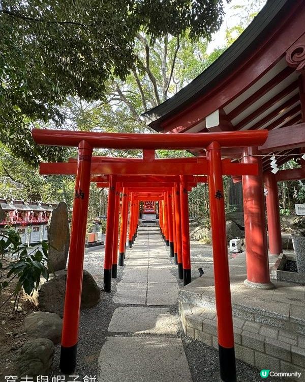 日本東京靜岡縣之旅 | 熱海 | 來宮神社 | 熱海櫻