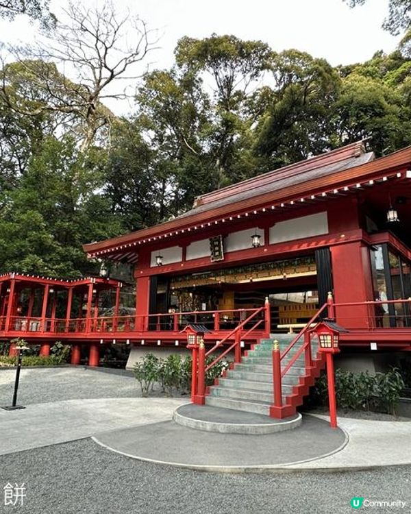 日本東京靜岡縣之旅 | 熱海 | 來宮神社 | 熱海櫻
