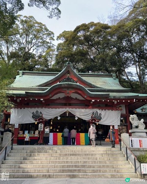 日本東京靜岡縣之旅 | 熱海 | 來宮神社 | 熱海櫻