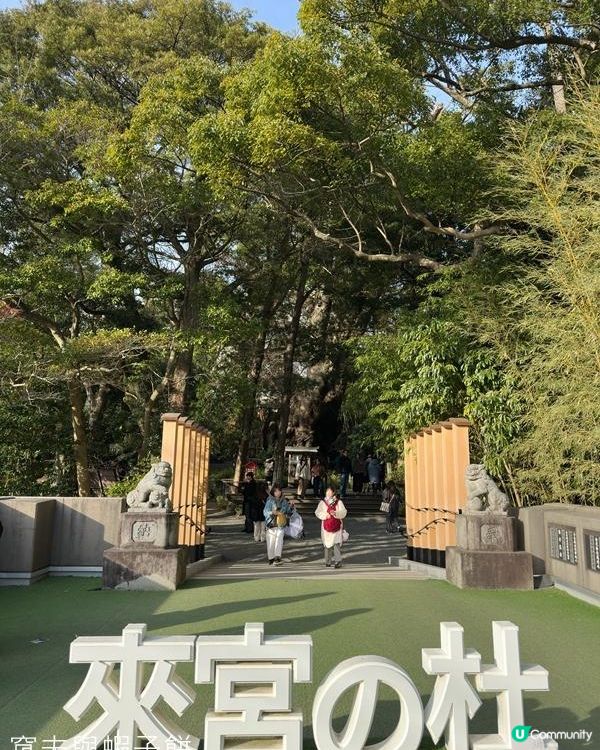 日本東京靜岡縣之旅 | 熱海 | 來宮神社 | 熱海櫻