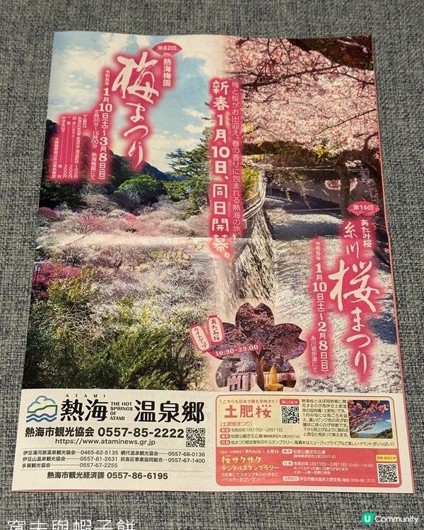 日本東京靜岡縣之旅 | 熱海 | 來宮神社 | 熱海櫻