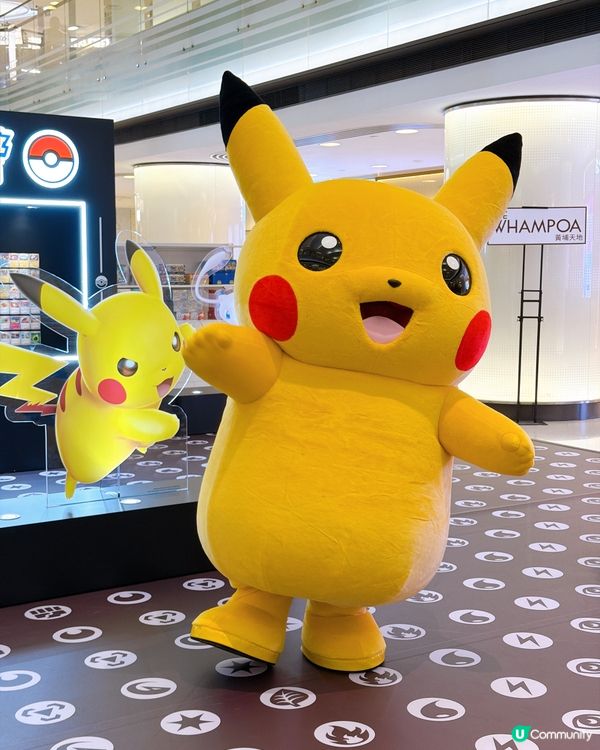【暑假放電必去】Pokémon TCG 期間限定店暑假必玩❤️‍🔥