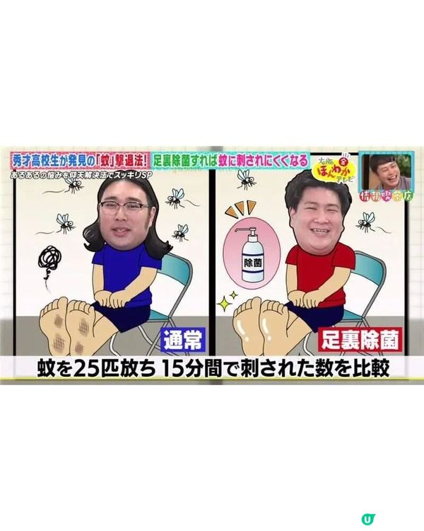 日本綜藝實測「1神方法」天然防蚊咬🦟被叮次數激減50%‼️夏天必學