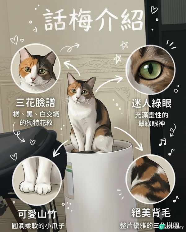 話梅公主駕到！🐾💖