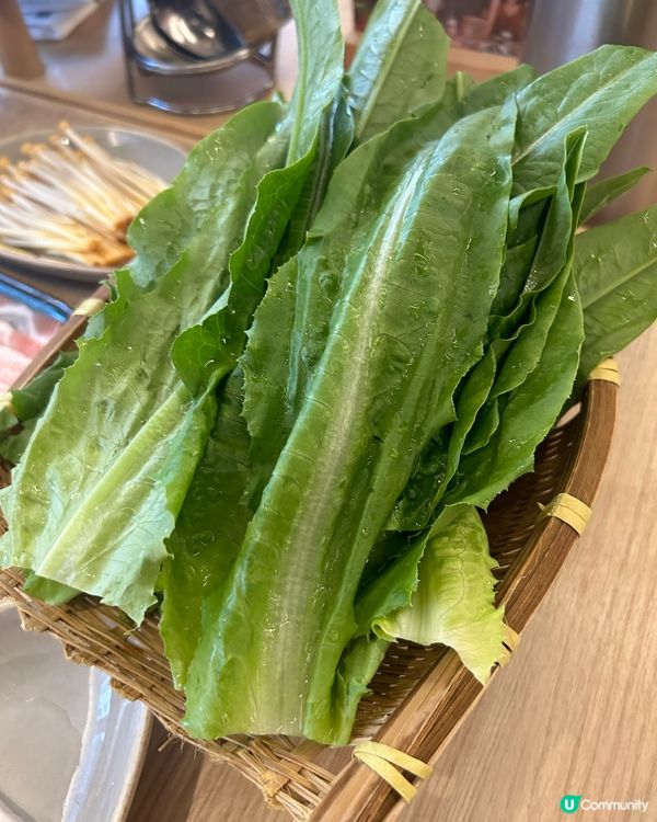 上星期去咗銅鑼灣方叔叔重慶老火鍋 🍲 絕對有水準💕