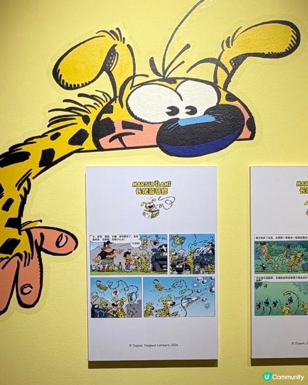 深圳暑假好去處✨免費限定展覽打卡攻略