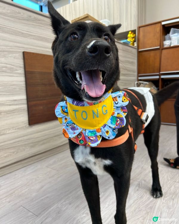 🎉🎂 三筒四筒 4 歲生日party🌧️🏃‍♂️