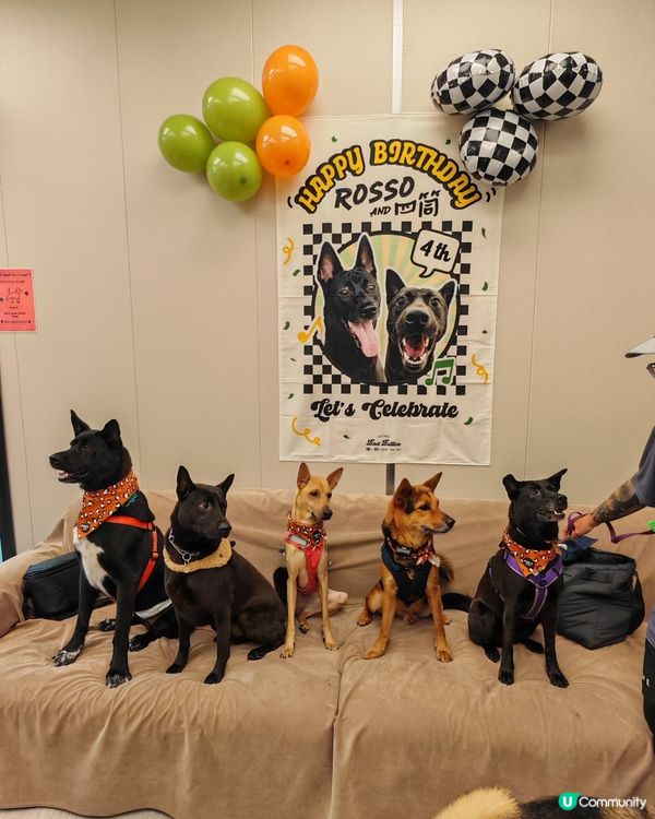🎉🎂 三筒四筒 4 歲生日party🌧️🏃‍♂️
