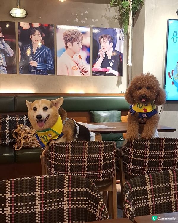 帶毛孩嚟啦！🐶🍽️ 預約制！🐾