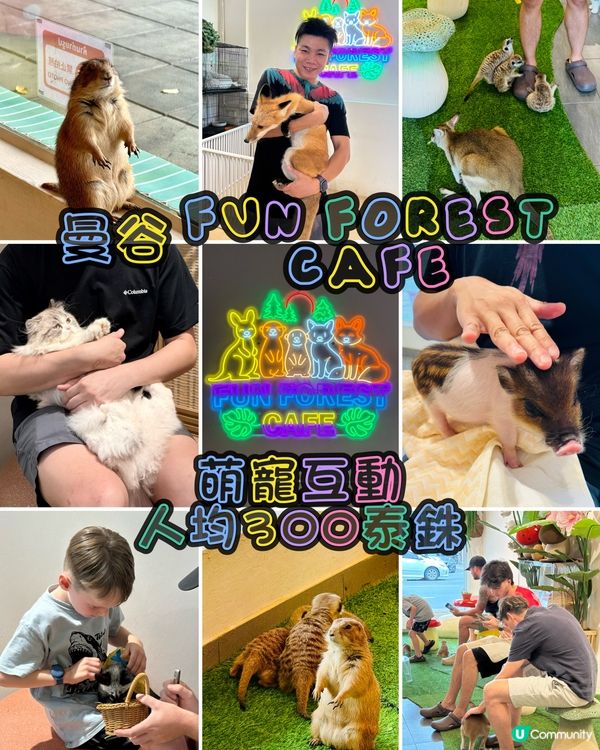 曼谷朱拉隆功：親子萌寵互動秘境，300泰銖玩轉可愛動物天堂！