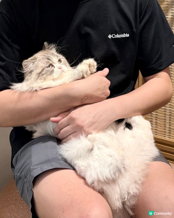 曼谷朱拉隆功：親子萌寵互動秘境，300泰銖玩轉可愛動物天堂！