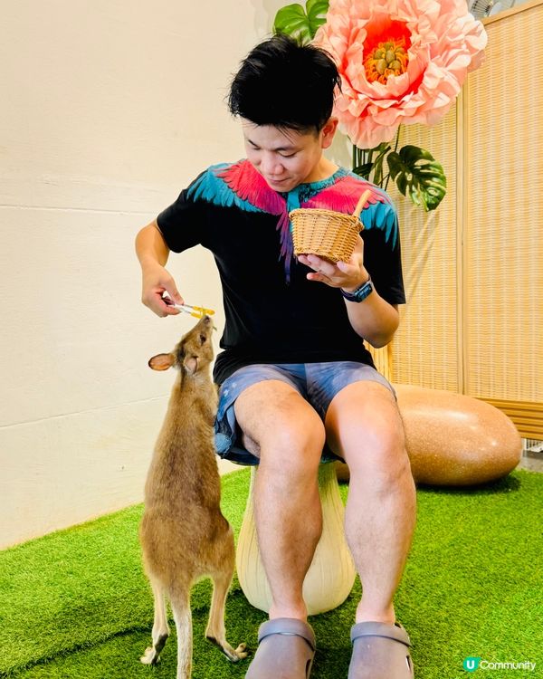 曼谷朱拉隆功：親子萌寵互動秘境，300泰銖玩轉可愛動物天堂！