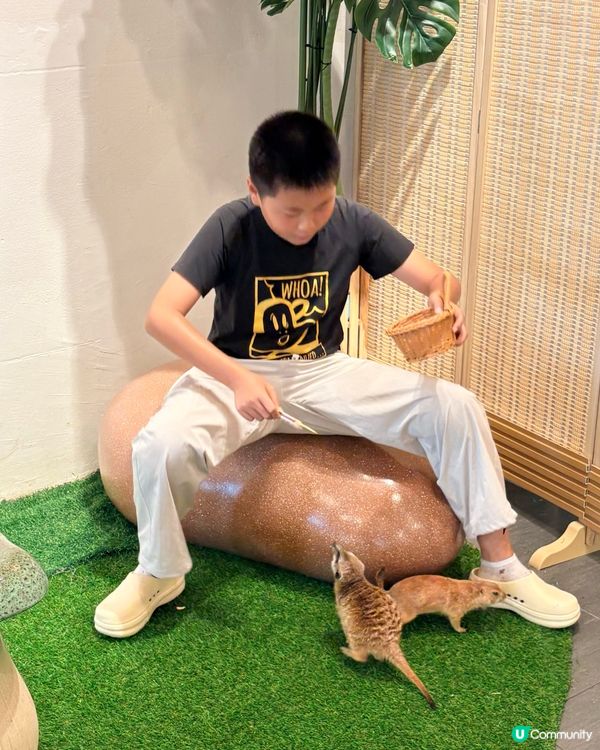 曼谷朱拉隆功：親子萌寵互動秘境，300泰銖玩轉可愛動物天堂！