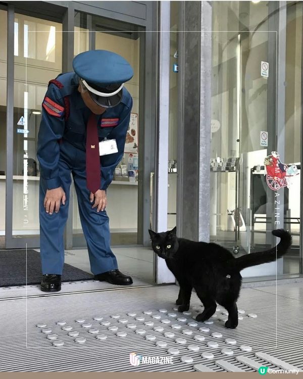 日本爆紅黑貓逝世化身木雕 由當年警衛親手抱入館內圓夢！                                                     