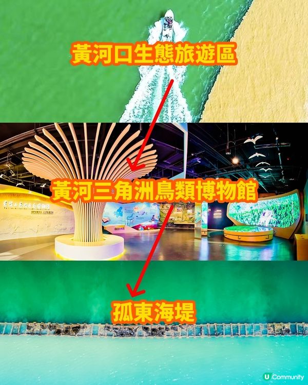 港澳出發來東營，就要這麼玩！