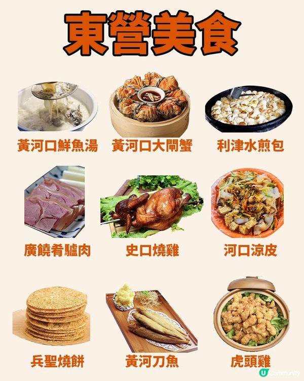 港澳出發來東營，就要這麼玩！
