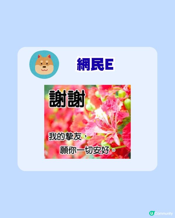 香港賞花必睇！康文署網站整理每月盛開花種、最佳賞花點！網民：設計似長輩圖                                                    