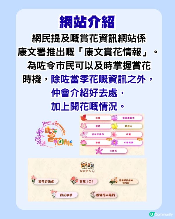 香港賞花必睇！康文署網站整理每月盛開花種、最佳賞花點！網民：設計似長輩圖                                                    