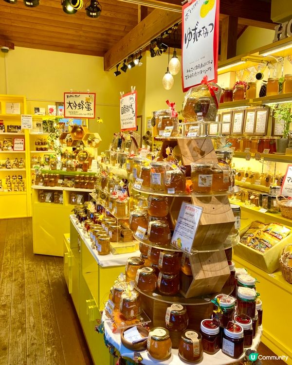 『日本』由布院湯之坪街道😋邊行邊吃｜探索特色小店🛍️